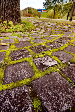 Moss between rocksの写真素材