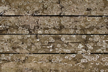 Old wooden rod