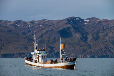 Whale watching boat in Husavik, Icelandのeditorial素材