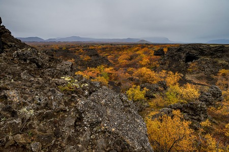 Volcanic area of Dimmuborgir in Icelandの写真素材