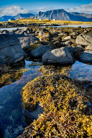 Ytri Tunga in Iceland