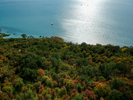 Colorful trees at lake Balaton, Hungary at autumnの写真素材