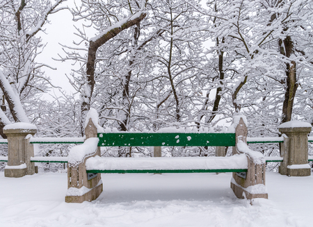 Green bench covered by snowの写真素材