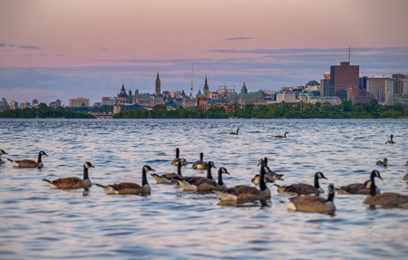Ottawa, Canada in sunsetの写真素材