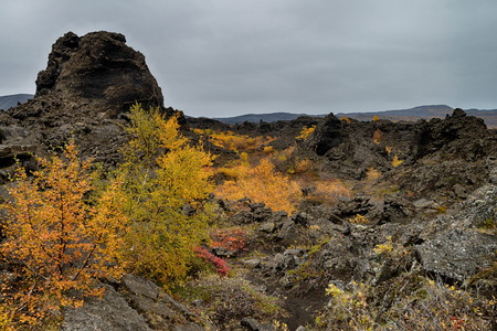 Old Volcanic area of Dimmuborgir in Icelandの写真素材