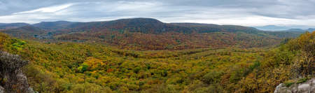 Aerial view of beautiful orange and red autumn forestの写真素材