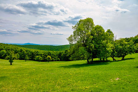 Green hills and cludy sky at springの写真素材