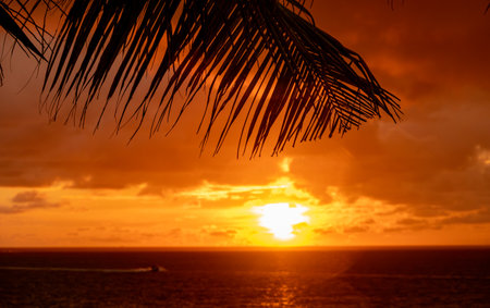 Silhouette of palm tree leaves beautiful sunset on the tropical sea beach in Langkawi, Malaysiaの写真素材