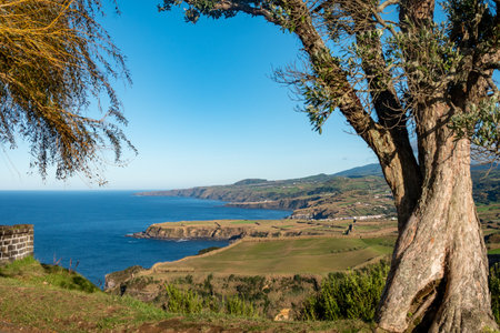 View of coastline in Azores, Sao Miguel, Portugal, Europeの写真素材