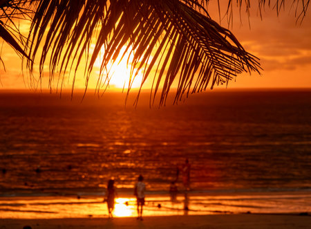 Silhouette of palm tree leaves beautiful sunset on the tropical sea beach in Langkawi, Malaysiaの写真素材