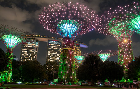 Supertree garden at night, Garden by the Bay, Singaporeの写真素材