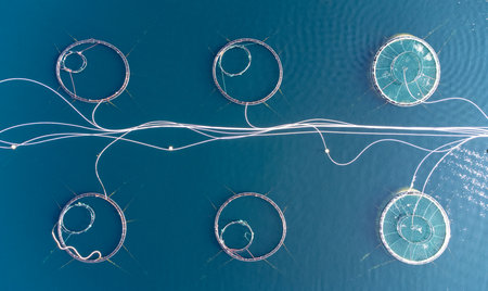 Aerial shot directly above a circular shaped fish farmの写真素材