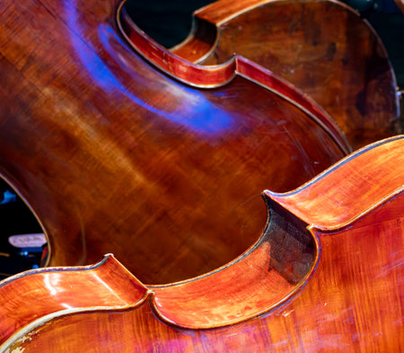 Cello closeup on dark backgroundの写真素材