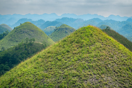 Chocolate Hills Bohol,Central Visayas, Philippines, Southeast Asiaの写真素材