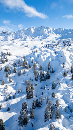 Aerial view of Skiing area of Paradiski, La Plagne, France Alpesの写真素材