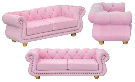 Sofa for office or home. isolated from the background. in different angles. interior element