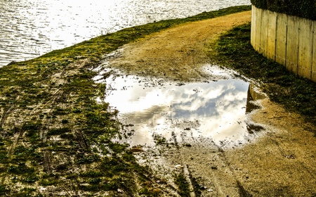 Reflection in a puddle of waterの写真素材