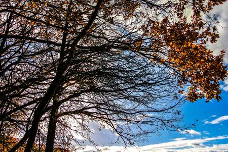 A beautiful landscapeの写真素材