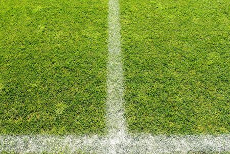 Grass on a football fieldの写真素材