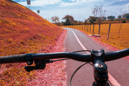 landscape with bicycle wheel rolling on beautiful pink and red road in nature with blue sky, unreal abstract, retouched.の写真素材
