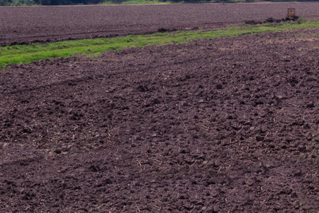 land field landscape for sowing in nature without outdoor harvest.の写真素材