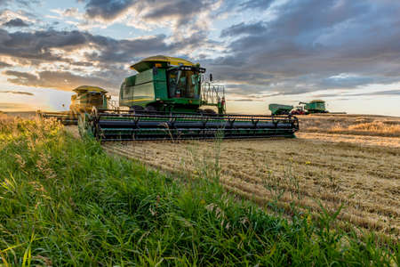 Swift Current, SK/Canada- Aug 25, 2019: Sunburst over combines and grain cart during harvest in Saskatchewanのeditorial素材