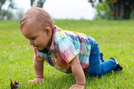 Baby crawling alone on the grass of a park surrounded by natureの写真素材