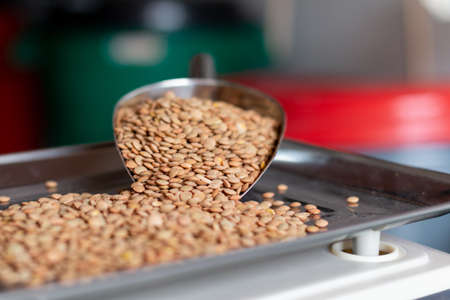 Spoon of lentils on a weighing scale. Lentil grains in detail. Food and vegetable advertising concept. Metal spoon for grains.の写真素材