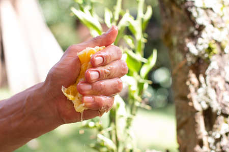 Mans hand squeezing orange with force. Orange juice. nature background.の写真素材