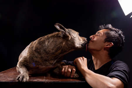 latin man gets licked by his dog. isolated on black background.の写真素材