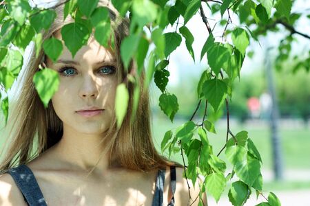 Portrait of the young beautiful girl on a background of leaves of a birch の写真素材