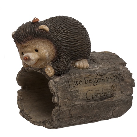 statue garden hedgehogの写真素材