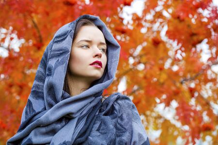 Russian beauty woman in the national patterned shawlの写真素材