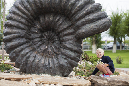 Blonde Little boy in a dark blue knitted sweater walks in the summer parkの写真素材