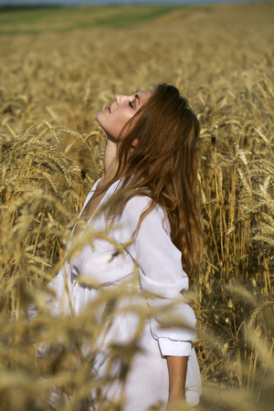 Portrait of a young sexy blonde woman on a background of golden wheat field, summer outdoorsの写真素材