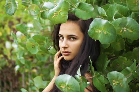 Portrait of a young beautiful woman in green foliage