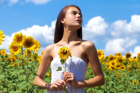 Close up portrait of a young beautiful girl in a field of sunflowersの写真素材