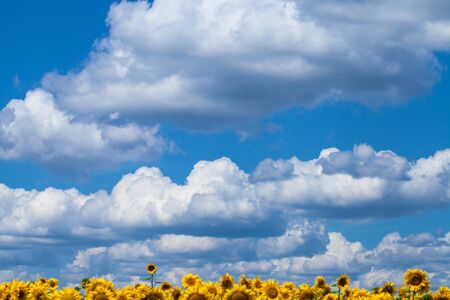 White clouds on blue sky in summer dayの写真素材