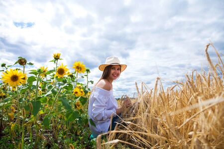 Portrait of a young brunette woman in white blouse sitting on a background of golden wheat and sunflowers fieldsの写真素材