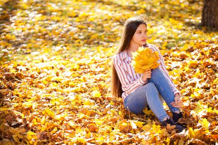 Portrait of a young beautiful girl with yellow maple leaves posing on a background of an autumn parkの写真素材