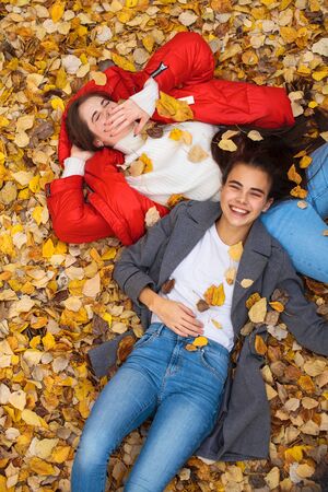 Top view portrait of a young beautiful girls in a white woolen sweater lies on autumn leaves in a parkの写真素材