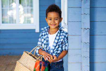 Portrait of a young beautiful african little boy