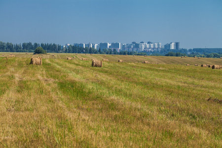 Portrait of a young beautiful blonde woman in a stylish spotted summer suitの写真素材