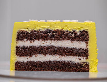 One piece of cake. Homemade cake in sectionの写真素材