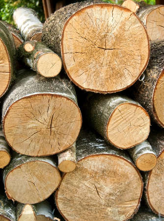 Pile of sliced woodの写真素材