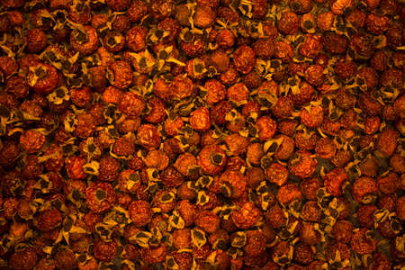 Dry rose hips, fragrant and bright ingredientsの写真素材