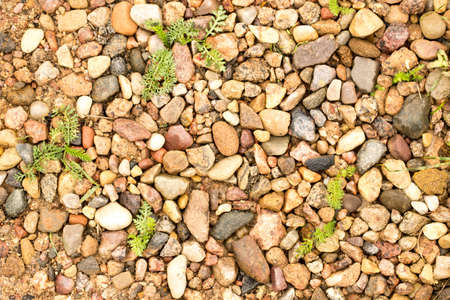 Texture of small pebbles and sand, beautiful small pebbles