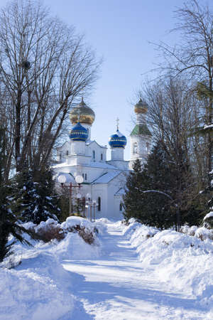 Snow house in winter dreamland at dawn in forest old weather and a lot of snow on roofの写真素材