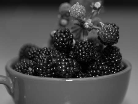 Blackberry with beneficial and healing properties for the whole bodyの写真素材