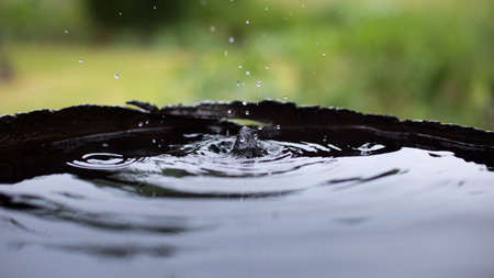 A drop of pure rainwater falling into a containerの写真素材